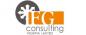 IFG Consulting logo